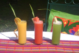 Mayan Organic Fresh Fruit Smoothies