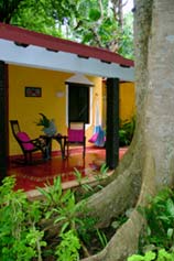Near many of the Hacienda Chichen Cottages, visitors can enjoy the majestic beauty of the Ceiba Kapok Trees.