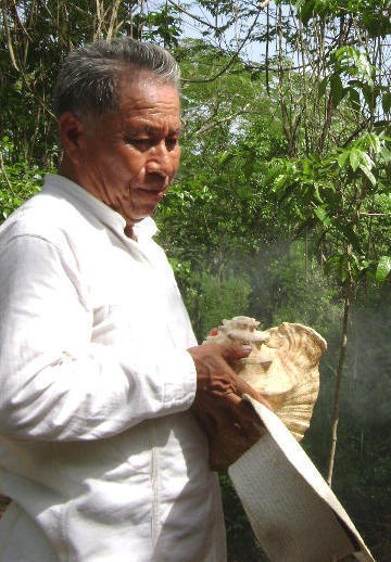 Maya Shaman and Healer at Yaxkin Spa a Holisic Wellness Center, Chichen Itza, Yucatan, Mexico