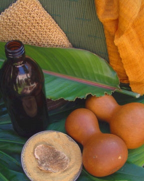 Eco-Spa natural ingredients use at Yaxkin Spa, Chichen Itza.