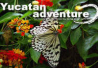 Yucatan Adventure Volunteer Programs and Travel Guide, Chichen Itza, Mexico