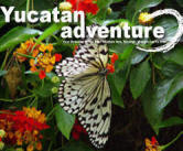 Yucatan Adventure:  Volunteer Mexico's Green Travel Guide to Chichen Itza, Yucatan