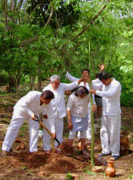 KUCH KAAB Y'EETEL J'MEN MAAYA'OB, A.C. - Mayan J-Men, Maya Healers, Chichen Itza, Yucatan, Mexico