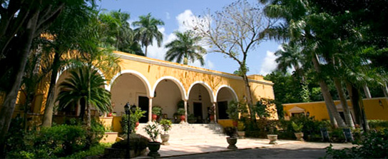 Organic grown Papaya fruit trees at Hacienda Chichen Resort, an Eco-Cultural Spa Getaway, the ideal Green Maya Vacation Spa Resort.