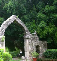 Hacienda Chichen welcomes guests with magnificent views of the Cuban Laurels and hundreds of birds rejoicing in them.