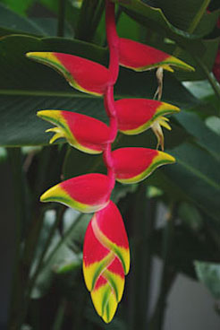 We recomend you visit Chichen Services and choose fun Eco-Cultural Vacation Packages and save!