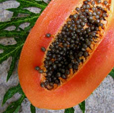 Nutrition Fact About Papaya