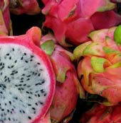 Pitaya fruits are Dr. Merle Greene's favorite tropical fruit, Hacienda Chichen Resort has created the perfect treat in her honor in his cooking classes recipe collection