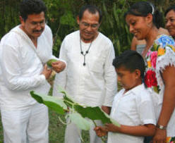 Mayan Traditions, Rituals, Ceremonies, Herbal Medicine - Yucatan, Mexico