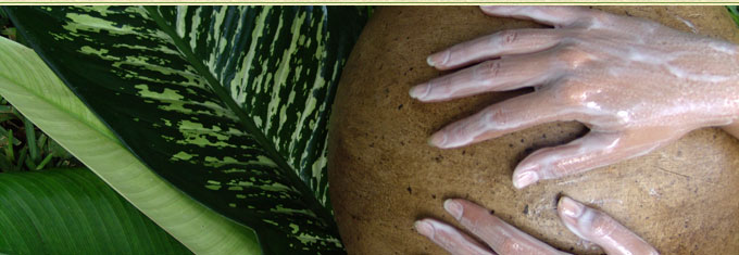 Revitalize your inner power and serenity as you allow Mother Nature to nourish your body, mind, and soul with ancient Maya wisdom.