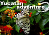 Yucatan Adventure Volunteer Programs and Travel Guide, Chichen Itza, Mexico