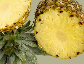Mayan Healthy Fruit Recipies